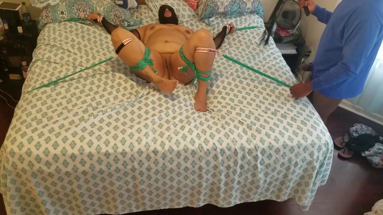 Whipping pussy 